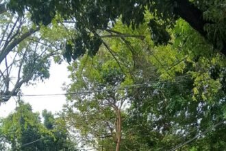 IMG 20250429 WA0145
