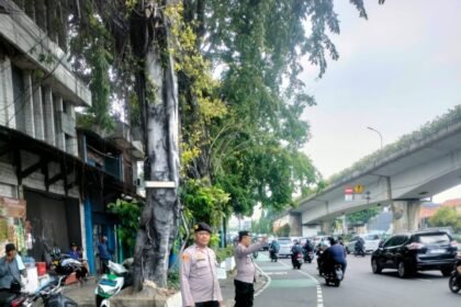 IMG 20250506 WA0184