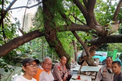 IMG 20250506 WA0195