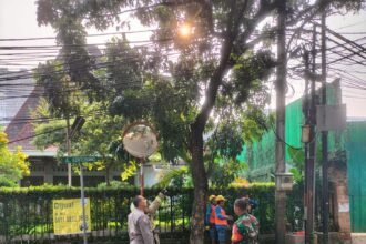 IMG 20250506 WA0251