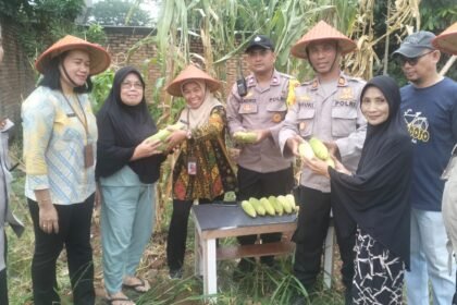 IMG 20250508 WA0183