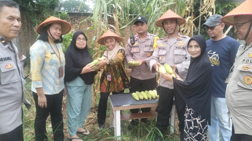 IMG 20250508 WA0183