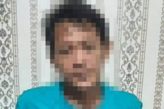 IMG 20250512 WA0133