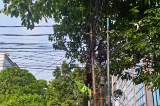 IMG 20250514 WA0046