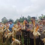 IMG 20250515 WA0235