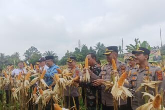 IMG 20250515 WA0235