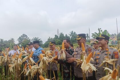 IMG 20250515 WA0235