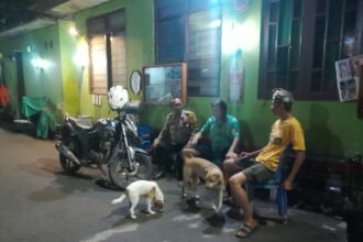 IMG 20250520 WA0083