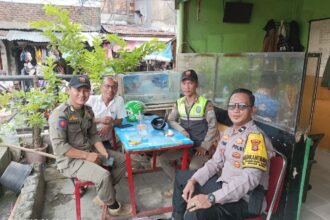 IMG 20250520 WA0187