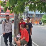IMG 20250521 WA0127