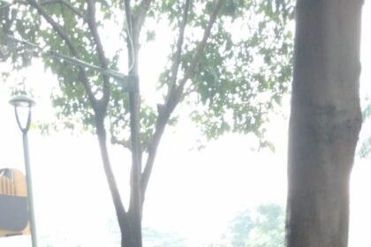 IMG 20250521 WA0188