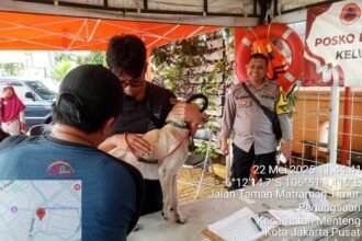 IMG 20250522 WA0152