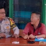 IMG 20250525 WA0113