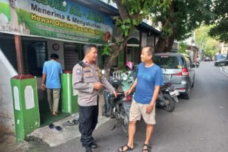 IMG 20250527 WA0217