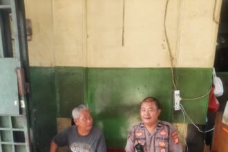 IMG 20250527 WA0222