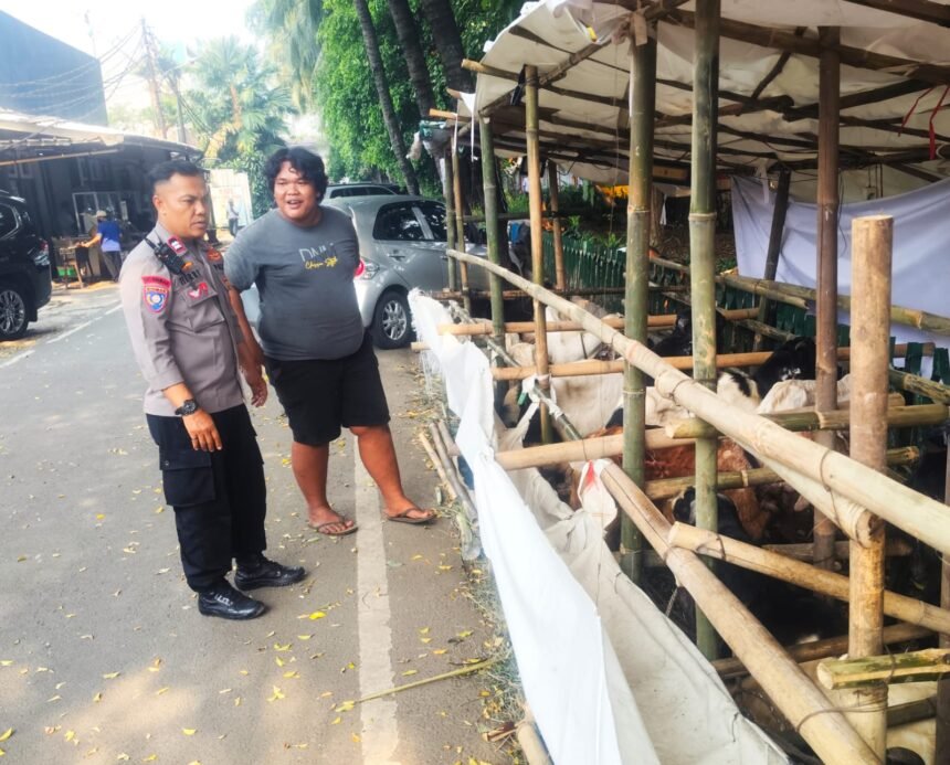 IMG 20250528 WA0187