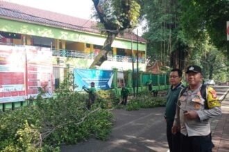 IMG 20250530 WA0066