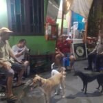 IMG 20250601 WA0020