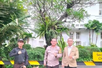 IMG 20250601 WA0169