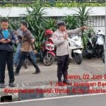 IMG 20250602 WA0020
