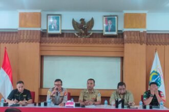 IMG 20250603 WA0129
