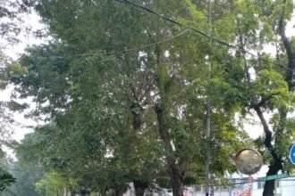 IMG 20250604 WA0076