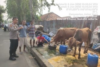 IMG 20250605 WA0166