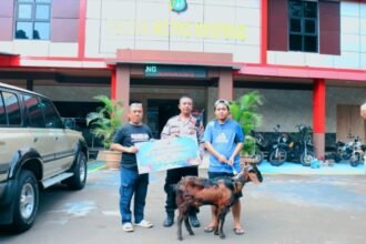 IMG 20250606 WA0156