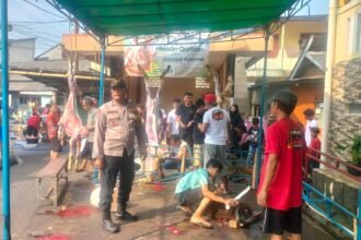 IMG 20250607 WA0128