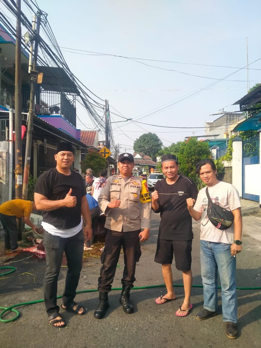 IMG 20250607 WA0155