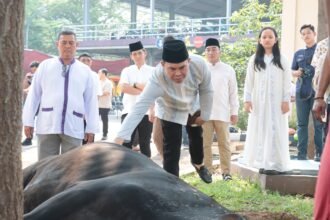 IMG 20250607 WA0195