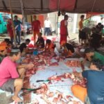 IMG 20250607 WA0218