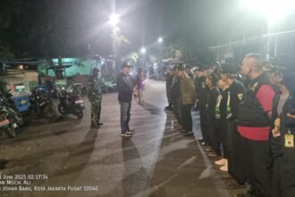 IMG 20250608 WA0154
