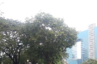 IMG 20250609 WA0200