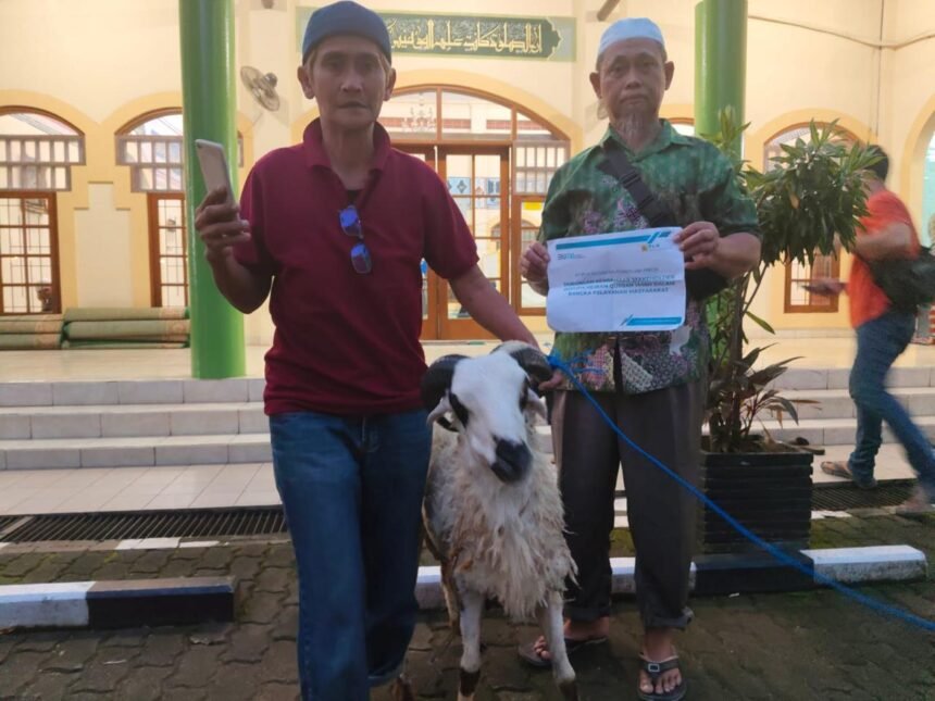IMG 20250610 WA0103