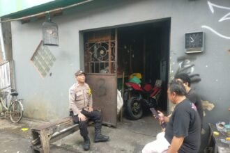 IMG 20250610 WA0206