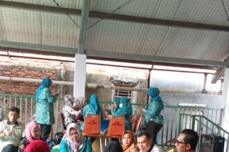 IMG 20250610 WA0207