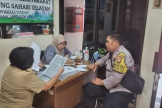 IMG 20250611 WA0129