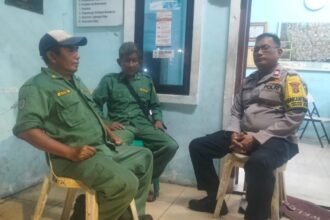 IMG 20250611 WA0146