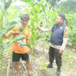 IMG 20250611 WA0244