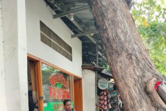IMG 20250615 WA0163