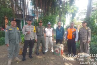 IMG 20250616 WA0167