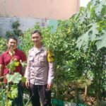 IMG 20250616 WA0183