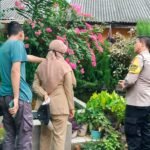 IMG 20250617 WA0154