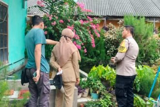 IMG 20250617 WA0154
