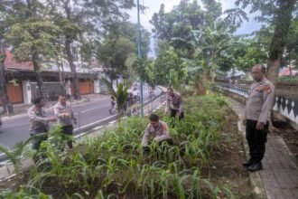 IMG 20250618 WA0174
