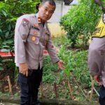 IMG 20250619 WA0123