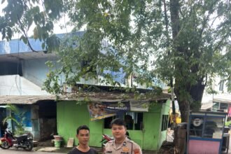 IMG 20250626 WA0048