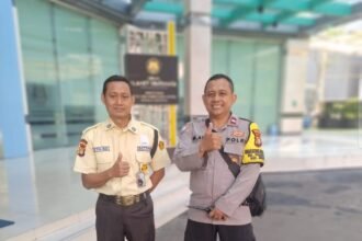 IMG 20250628 WA0201