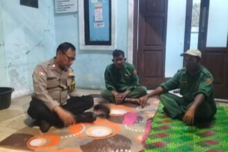 IMG 20250705 WA0118